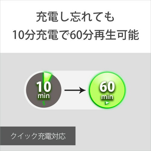 SONY ワイヤレスイヤホン WI-C100(W)