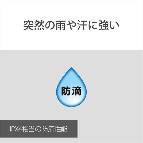 SONY ワイヤレスイヤホン WI-C100(L)