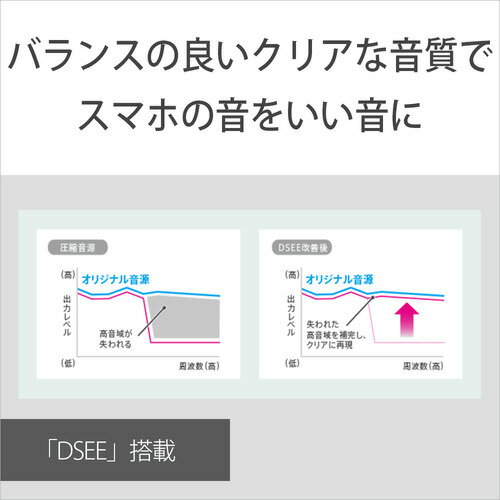SONY ワイヤレスイヤホン WI-C100(L)
