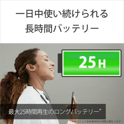 SONY ワイヤレスイヤホン WI-C100(L)