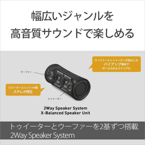SONY ワイヤレスポータブルスピーカー ライトグレー SRS-XG300(H)