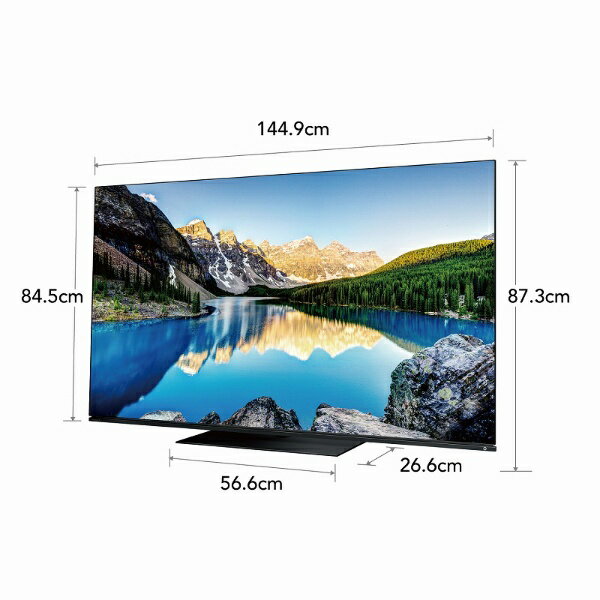 TOSHIBA 65V型 4K有機ELテレビ REGZA 65X8900L