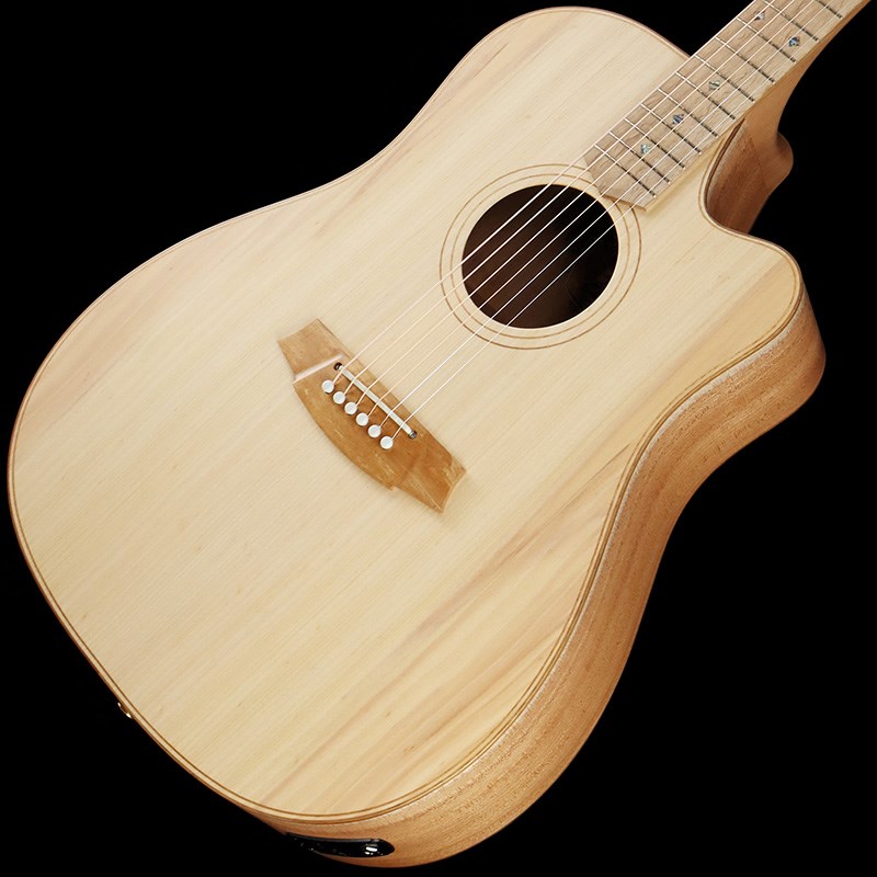 楽天市場】石橋楽器店 CCAN2EC-BB コールクラーク Cole Clark | 価格