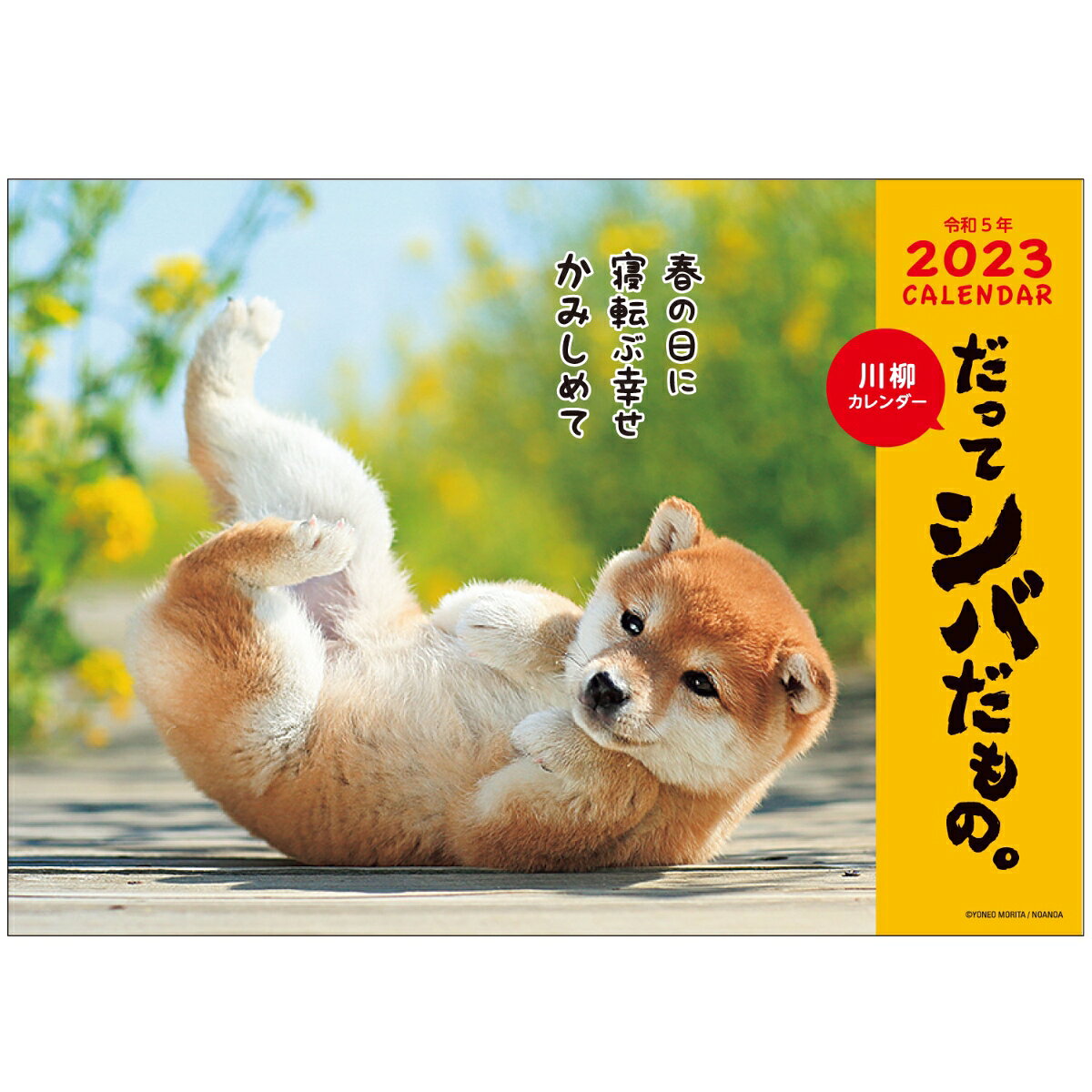 柴犬 フォトカレンダー 壁掛け 2023 令和五年 柴犬カレンダー 可愛い