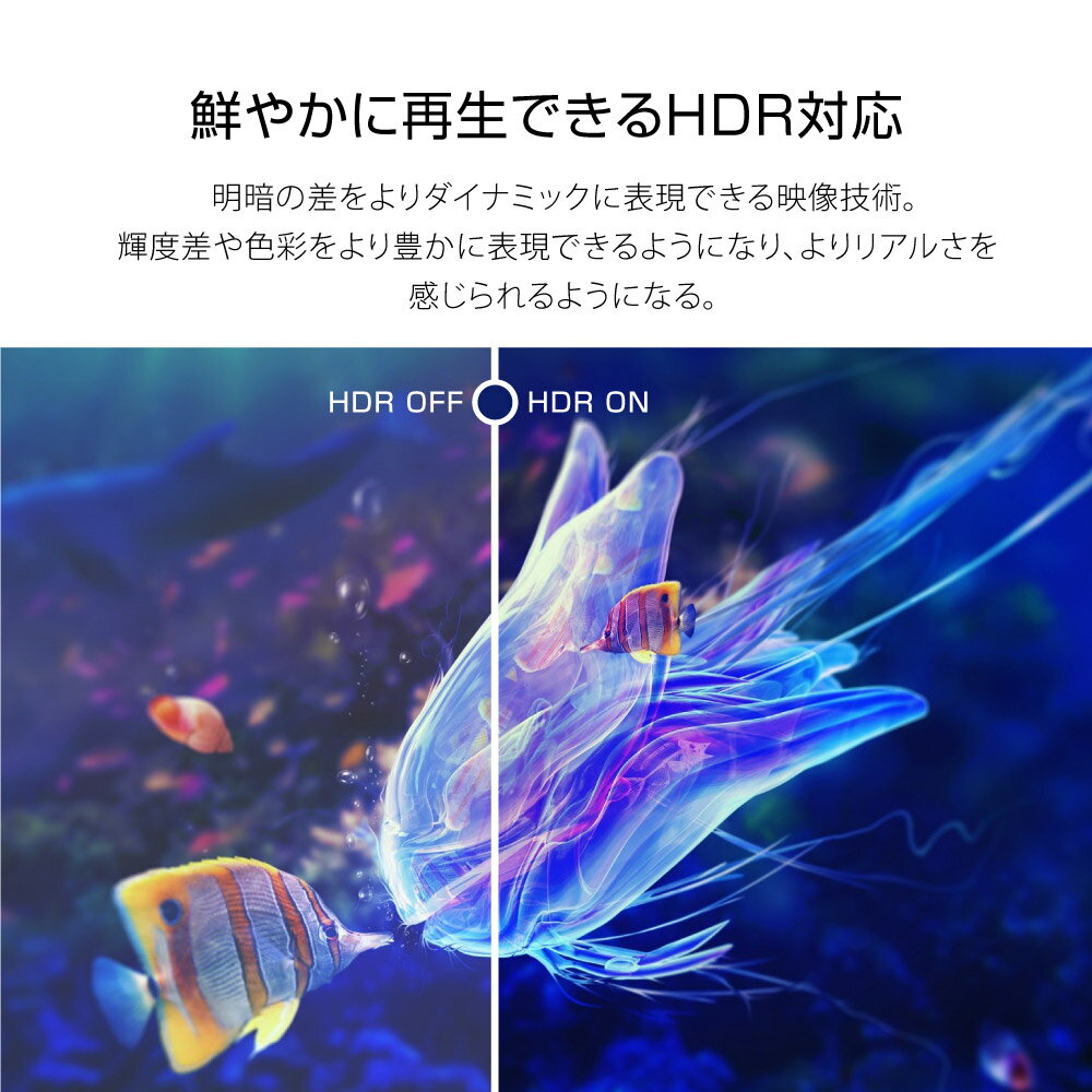 チューナーレステレビ 24型 AI-S24 WIS チューナーレスハイビジョンLED液晶テレビ ASTEX