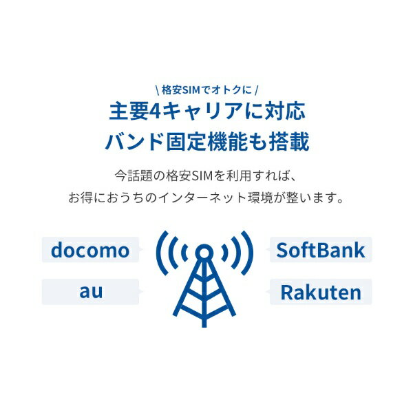 ピクセラ LTE対応 SIMフリーホームルーター PIX-RT100