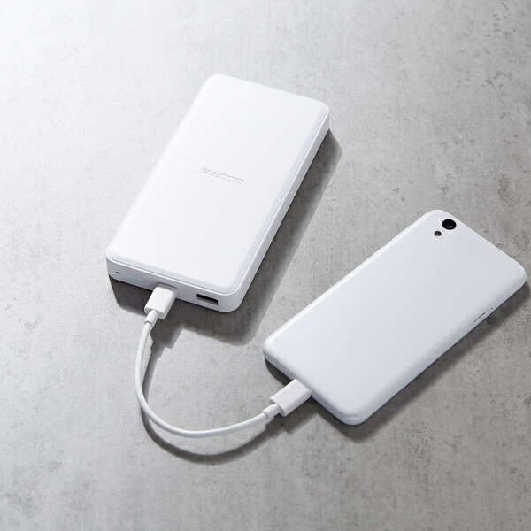 ELECOM リン酸鉄モバイルバッテリー 12000mAh ホワイト DE-C39-12000WH