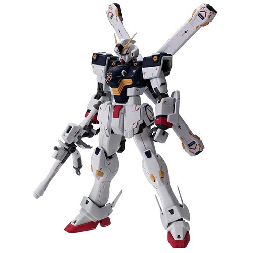 １／１００　ＭＧ　クロスボーンＸ１　Ｖｅｒ．Ｋａ