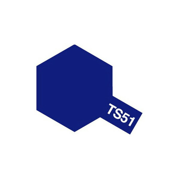 ＴＳ−５１　レーシングブルー