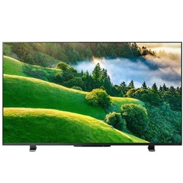 REGZA 50V型 C350M 液晶テレビ REGZA 東証上場の安心企業/TVS 50V型4K液晶スマートテレビ