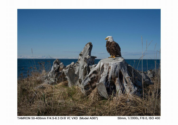 TAMRON ソニーE用 カメラレンズ 50-400F4.5-6.3 DI III VC VXD A067