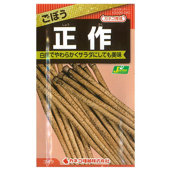 カネコ種苗 園芸・種 KS300シリーズ ごぼう 野菜300 242