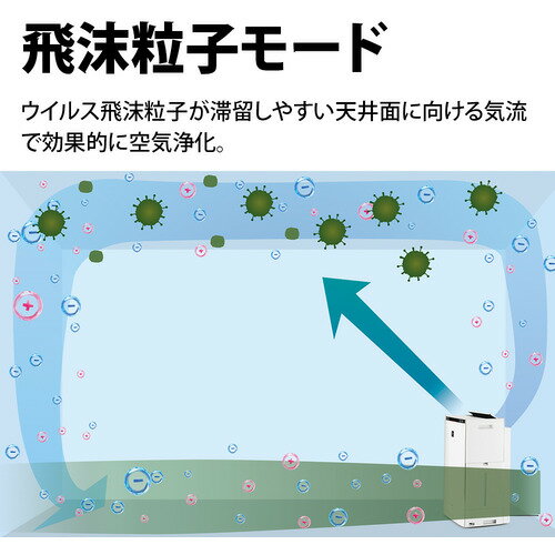 SHARP 加湿空気清浄機 KI-RX100-W