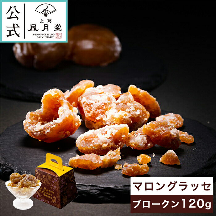 マロン ESTNATION / フロントジップレザースニーカー｜ESTNATION ONLINE