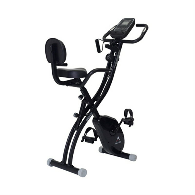 ALFITS アルインコ コンフォートバイク2 AFB4309GX 家庭用
