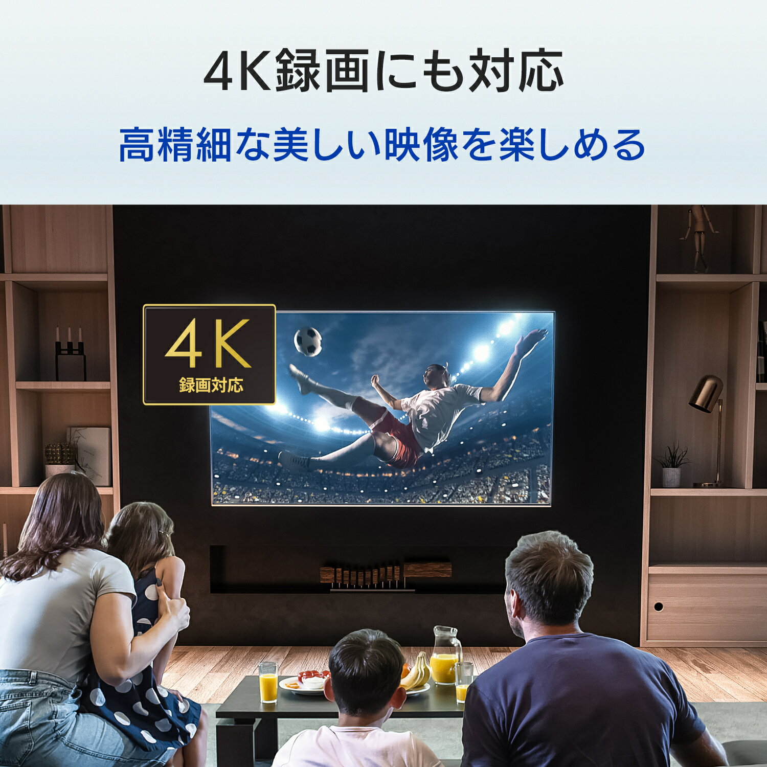 I・O DATA テレビ録画＆パソコン両対応 外付けハードディスク 4TB EX-HDD4UT