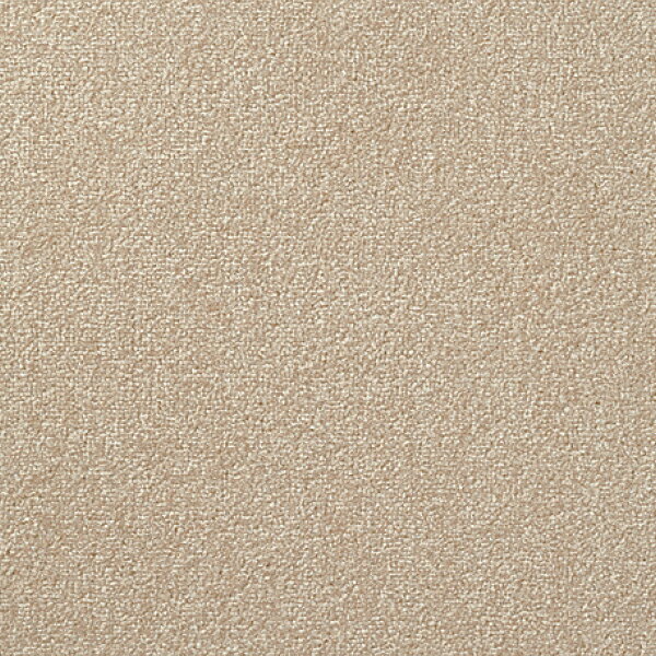 東リ ウィズペットフロア WPF 11マロン 1個