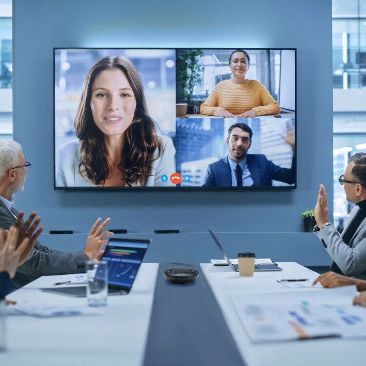 サンワサプライ MM-MC36 WEB会議USBスピーカーフォン