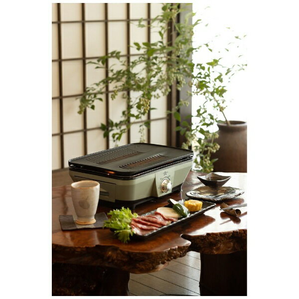 ALADDIN グラファイトミニグリラー CAG-MG7A(G)