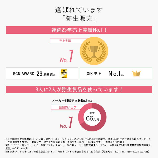 弥生 ヤヨイハンバイ 23 プロフェッショナル 2U