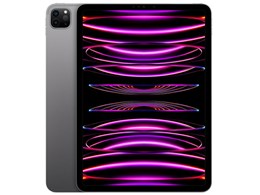 APPLE iPad Pro IPAD PRO 11 WI-FI 1TB 2022 GR