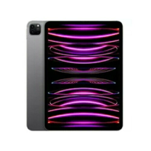★アップル / APPLE iPad Pro 11インチ 第4世代 Wi-Fi 2TB 2022年秋モデル MNXM3J/A [スペースグレイ]【タブレットPC】【送料無料】