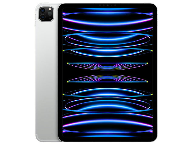 APPLE iPad Pro IPAD PRO 11 NA WI-FI+CELL 1TB