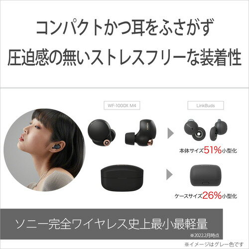 SONY イヤホン WF-L900UC(H)