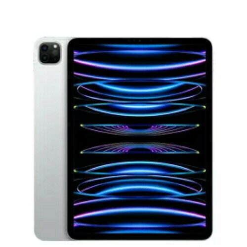 APPLE iPad Pro IPAD PRO 11 NA WI-FI+CELL 256G