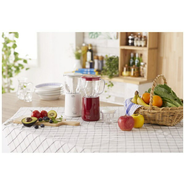 Iwatani フレッシュミルサー IFM-FR22-R