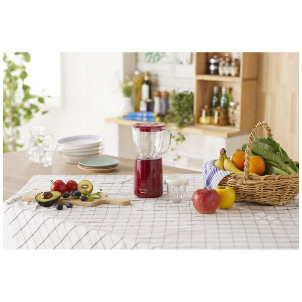 Iwatani フレッシュミルサー IFM-FR22-R