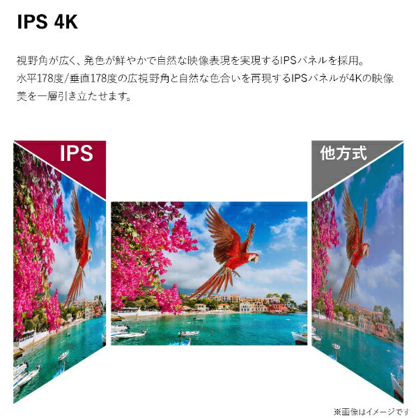 LG 4Kディスプレイ 27BP85UN-W