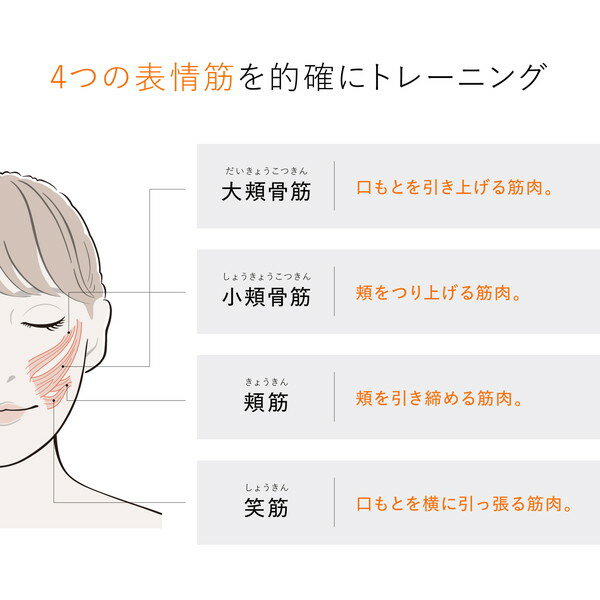 SIXPAD フェイシャルフィット SE-BH-00A