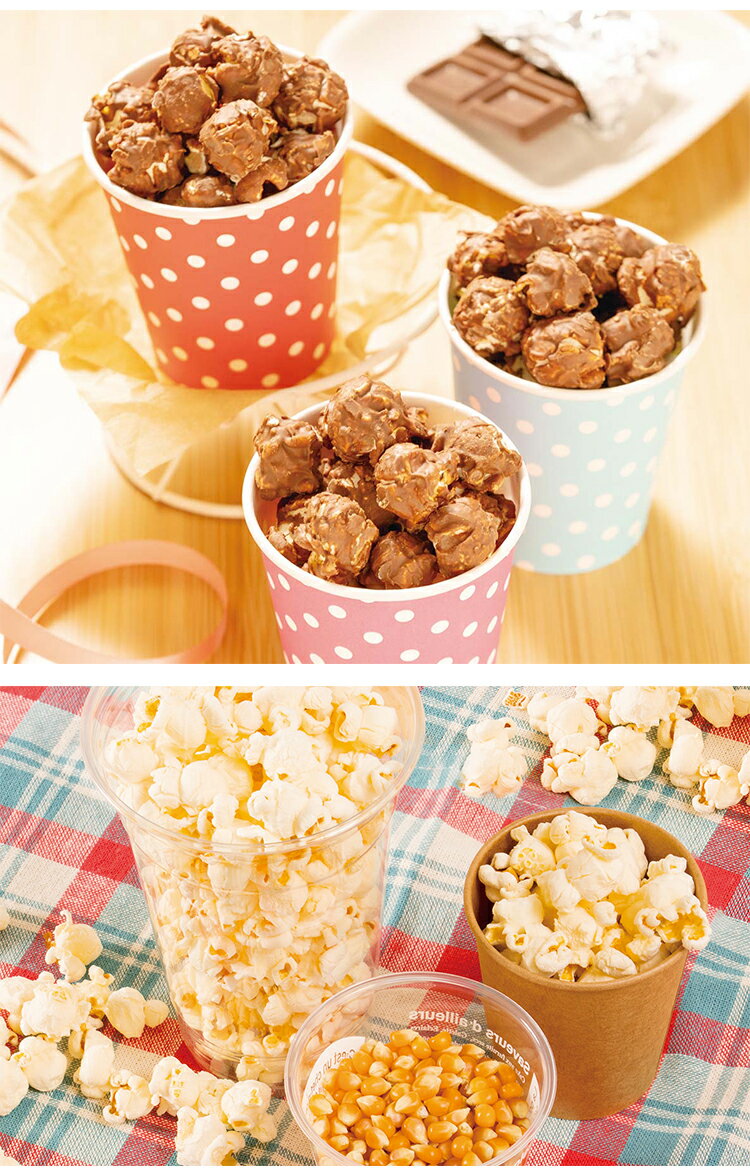 LITHON ポップコーンメーカー KDPN-002W