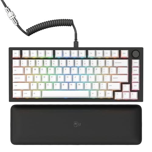 GLORIOUS キーボード GMMK PRO PREBUILT