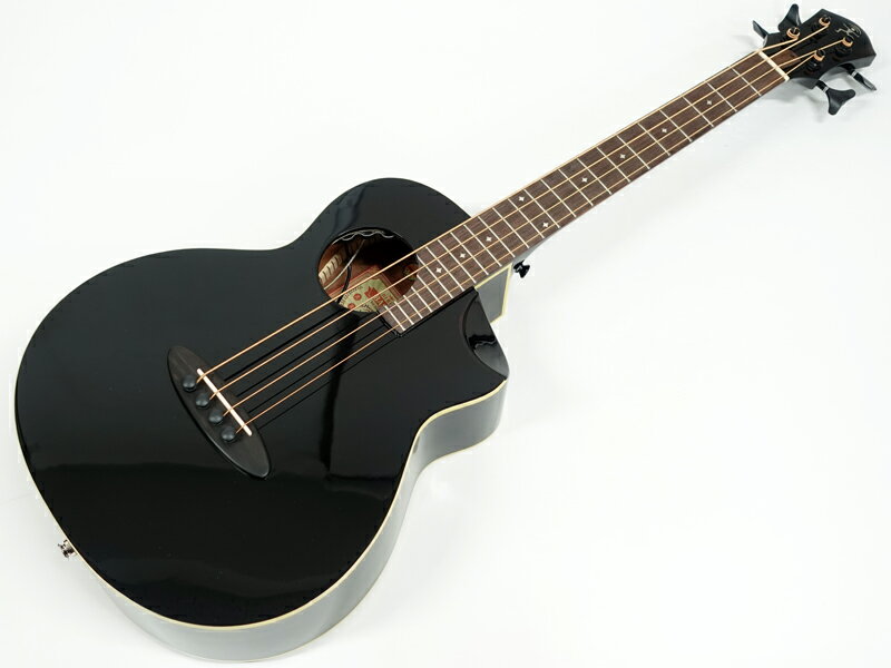 楽天市場】星野楽器 Ibanez エレアコベース AEGB24E-MHS | 価格比較