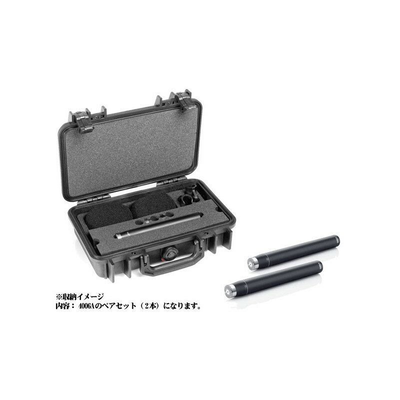 ST4006A ステレオ・キット 4006A×2 DPA