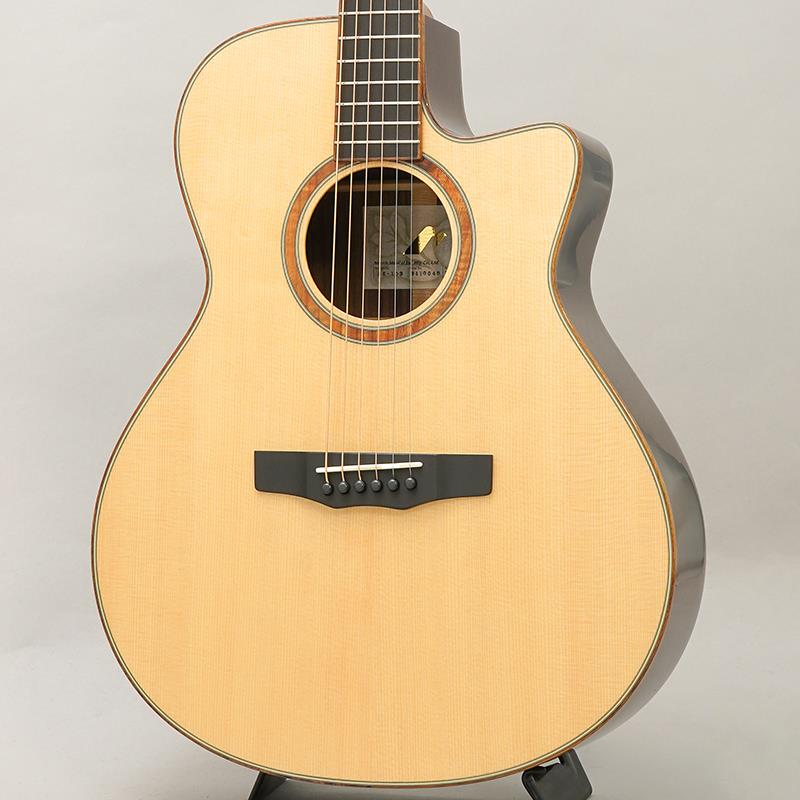 楽天市場】モリダイラ楽器 Morris モーリス F-101SP | 価格比較 - 商品