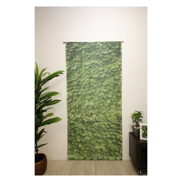 フルネス リーフ マルチスクリーン M6721