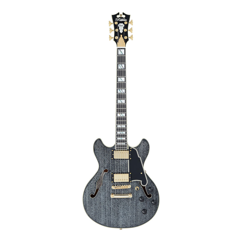 D’Angelico エクセル Mini DC