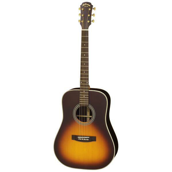 楽天市場】荒井貿易 Vanguard VDG-01 TS タバコサンバースト 