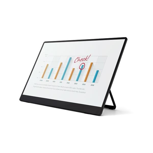 RICOH Portable Monitor 150 514910