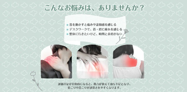 Leadtek ネックケア器具 ZJP-N01-GN