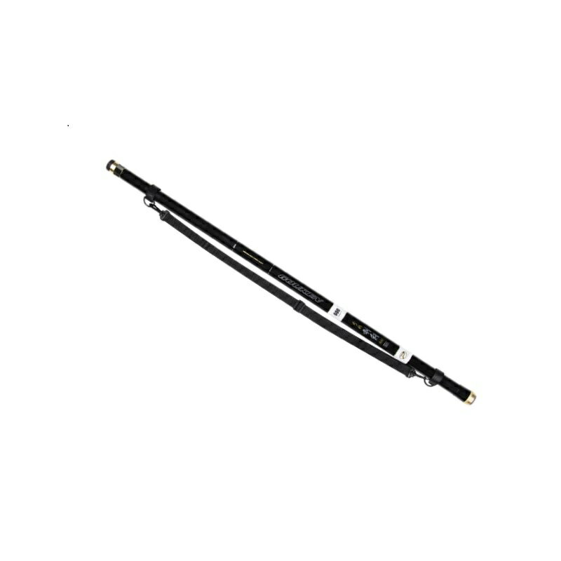 プロックス 磯玉の柄剛剣SE 800 7.9m ITGKS80 PROX タモの柄