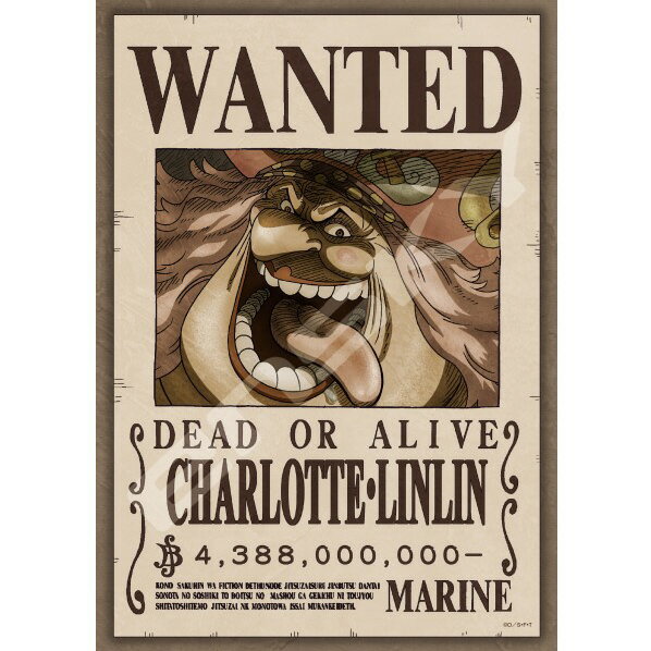 楽天市場】エンスカイ 208P ワンピース 208−039 手配