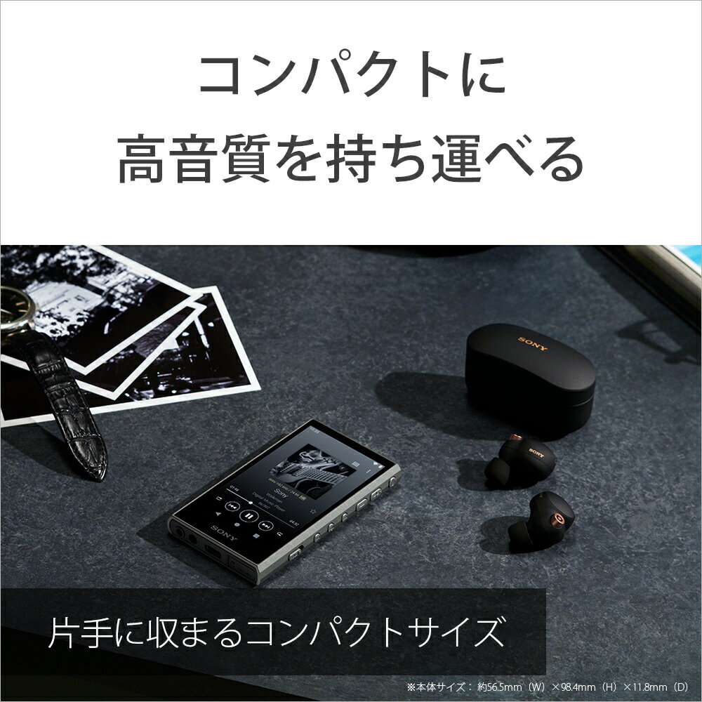 SONY Walkman NW-A307(B)