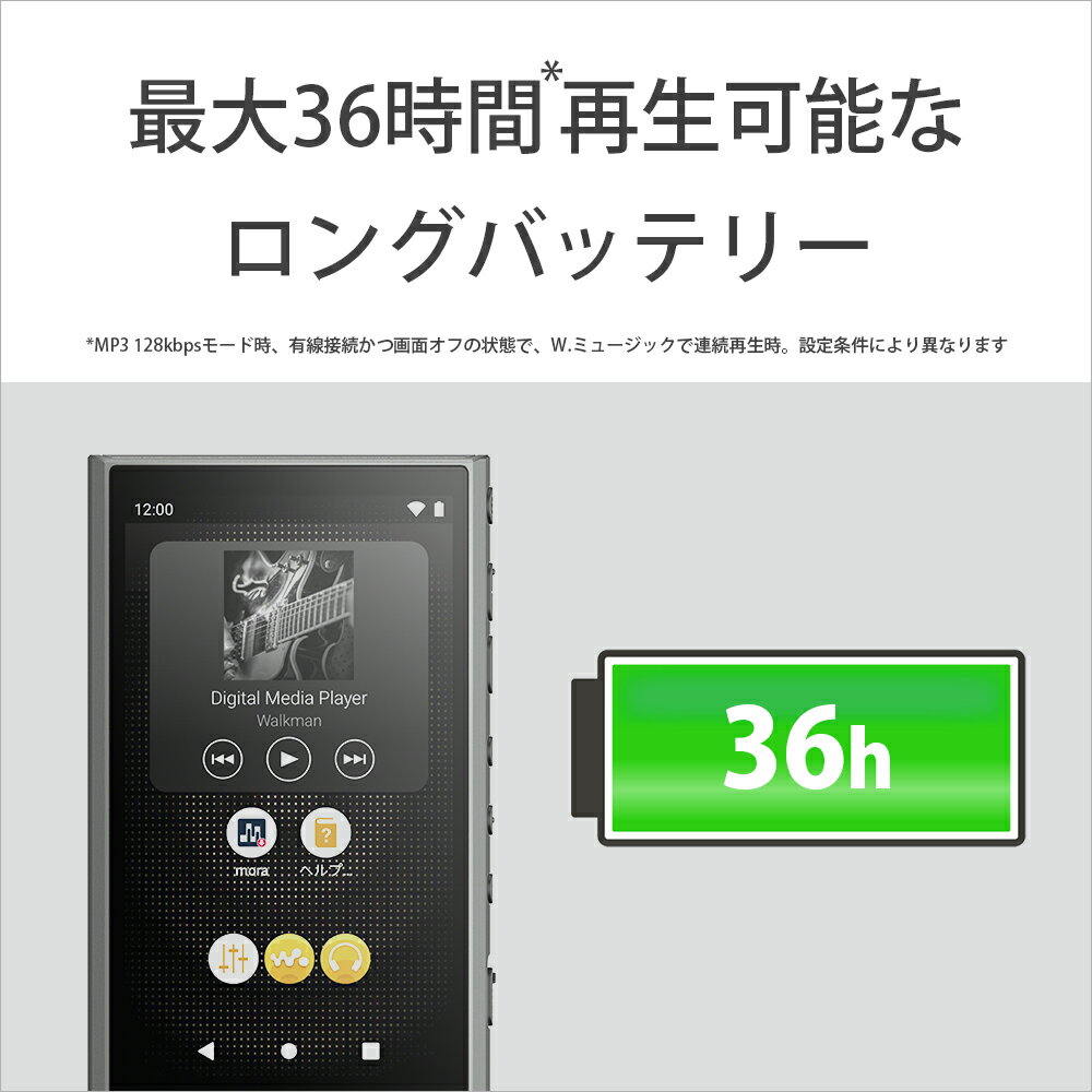 SONY Walkman NW-A307(B)