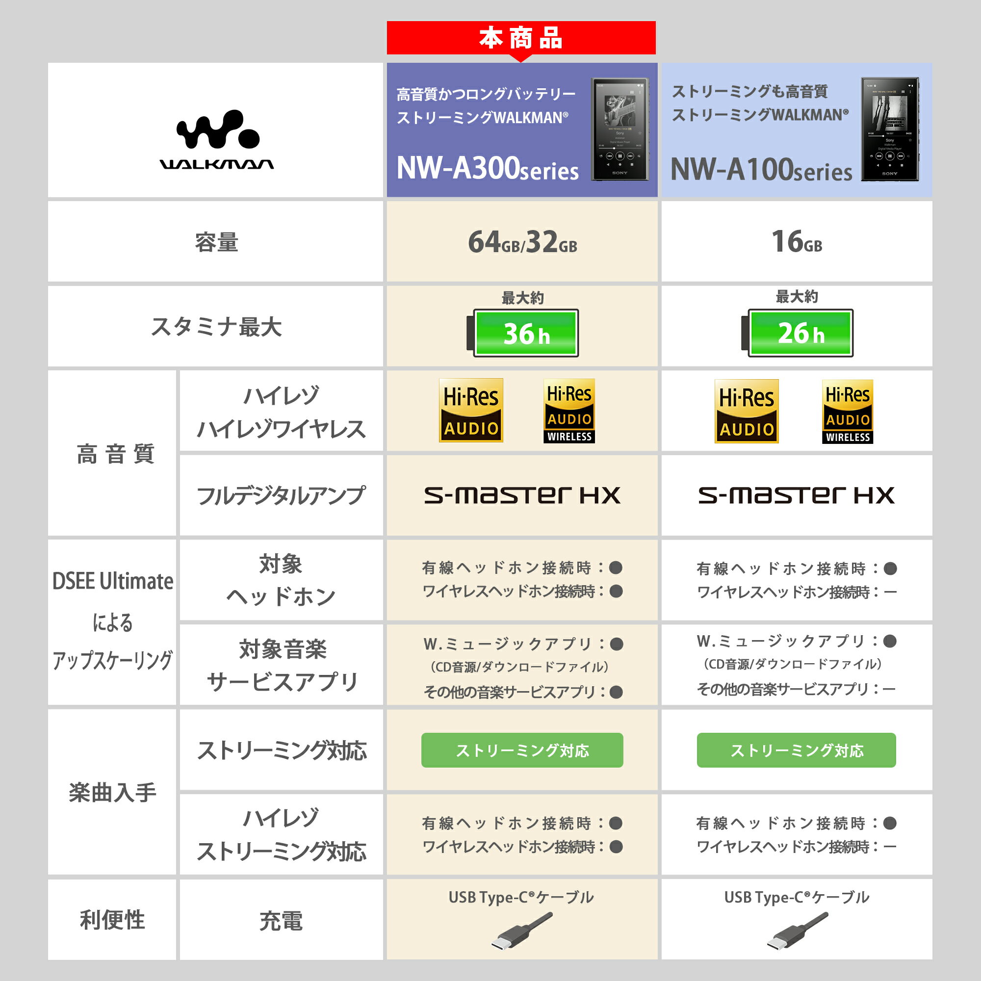 SONY Walkman NW-A307(B)