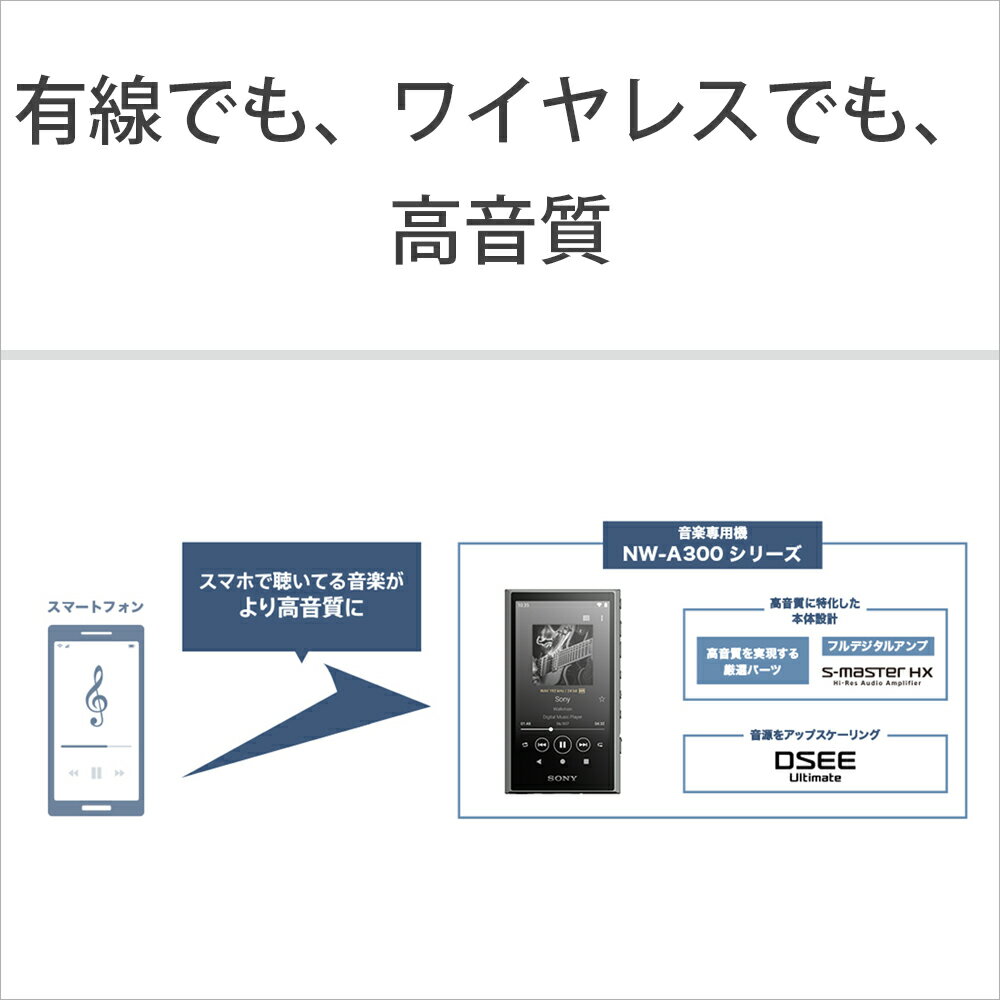 SONY Walkman NW-A307(B)