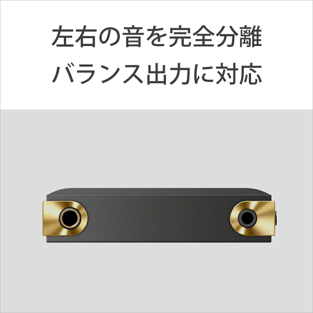 SONY Walkman NW-ZX707